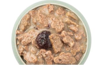 Чому собака не хоче їсти: розбираємо найпоширеніші причини