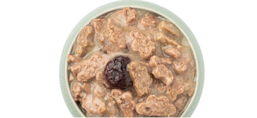 Чому собака не хоче їсти: розбираємо найпоширеніші причини