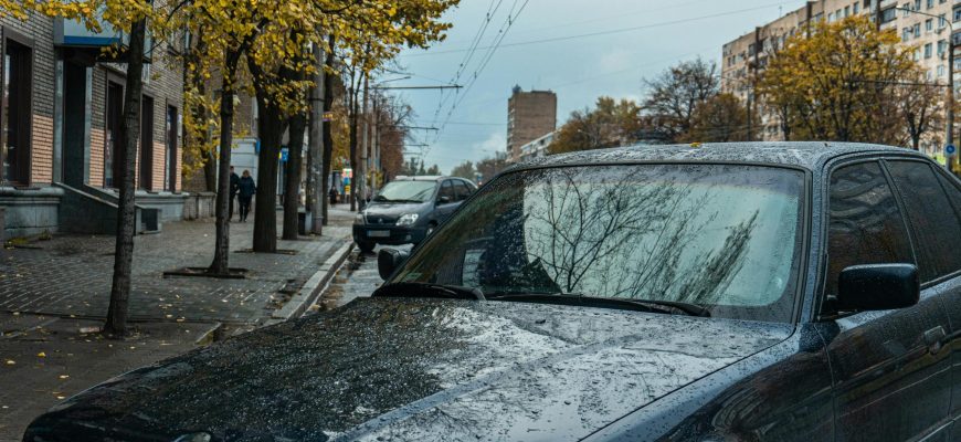 Де взяти зелену карту для авто: актуальні варіанти і ціни 2025 в містах України