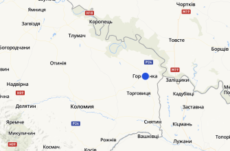 Погода в Городенці