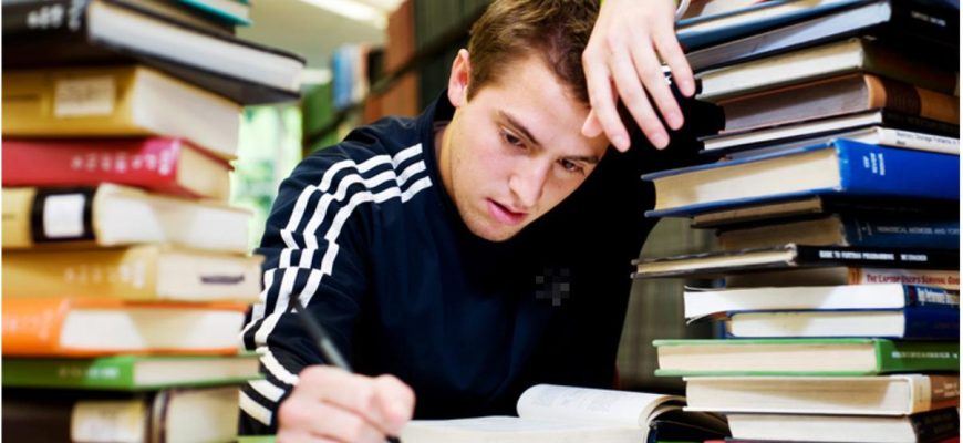 Поиск работы после учебы: первые шаги к успешной карьере