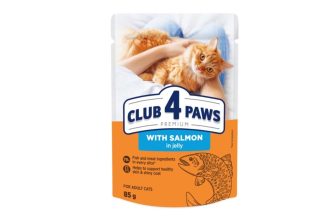 Як привчити кота до нового корму без стресу та голодування?